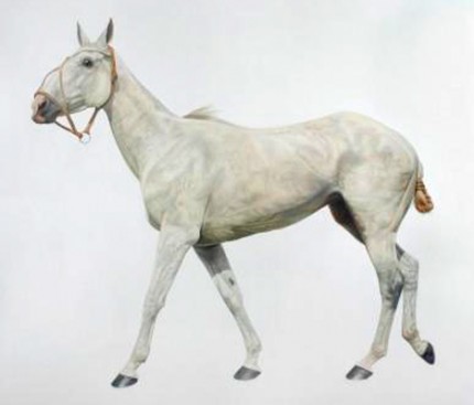 "Reeba" Oil on canvas, 60 x 72 inches