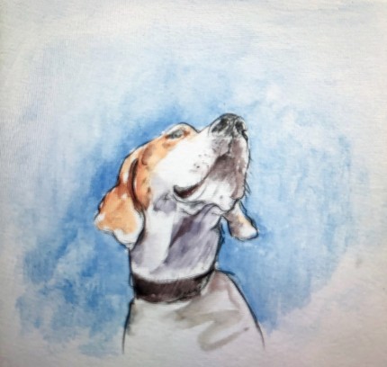 “Bailey” Watercolor on paper