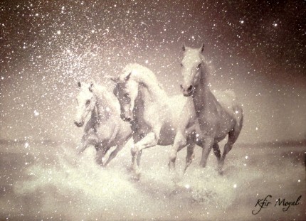 Equine Spirit