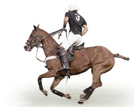 "Polo I" Edition of 18, Available in custom sizes, Signed & Numbered by the Artist