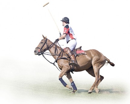 "Polo V" Edition of 18, Available in custom sizes, Signed & Numbered by the Artist