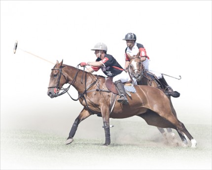 "Polo X" Edition of 18, Available in custom sizes, Signed & Numbered by the Artist
