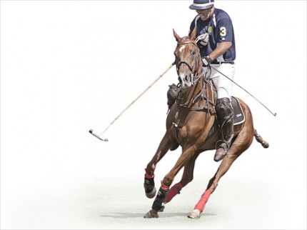 "Polo III" Edition of 18, Available in custom sizes, Signed & Numbered by the Artist
