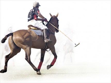 "Polo VIII" Edition of 18, Available in custom sizes, Signed & Numbered by the Artist
