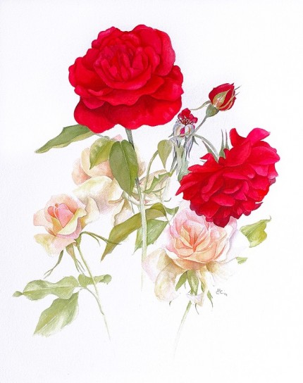 "Summer Roses" Watercolour on paper, 22.5 x 18 inches, Signed in pencil