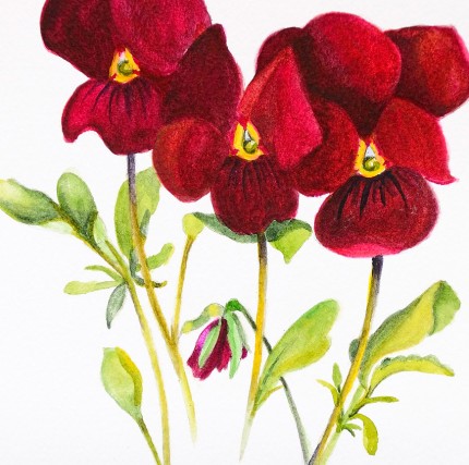 "Small & Beautiful" Watercolour on paper, 6 x 6 inches, Signed in pencil