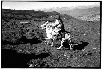Return to the Roof of the World - Photo 12