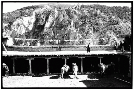 Return to the Roof of the World - Photo 15
