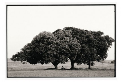 "Monk memorizing under mango trees" Gelatin silver print, Edition of 25, Paper size: 50 x 60 cms, Also available in 40 x 50 cms & 76 x 100 cms