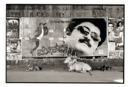 "Movie poster and bull, Hubli" Gelatin silver print, Edition of 25, Paper size: 50 x 60 cms, Also available in 40 x 50 cms & 76 x 100 cms