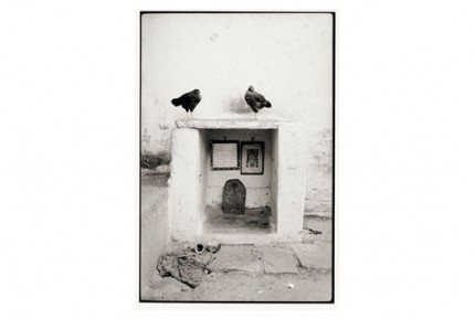 "Shrine and chickens" Gelatin silver print, Edition of 25, Paper size: 50 x 60 cms, Also available in 40 x 50 cms & 76 x 100 cms