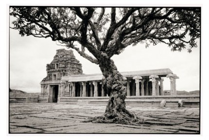 "Temple and tree in Hampi" Gelatin silver print, Edition of 25, Paper size: 50 x 60 cms, Also available in 40 x 50 cms & 76 x 100 cms