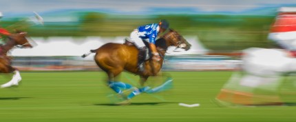 “Polo II - Digital Intervention” Hahnemüle Fine Art Baryta 325 gsm, Edition of 5 + 2 AP, 25 x 60 and 16.5 x 40 inches