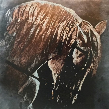 “Herodus IV” Digital print on hand preppsed aluminum, 21.25 x 21.25 x 2.5 inches - Framed, Signed