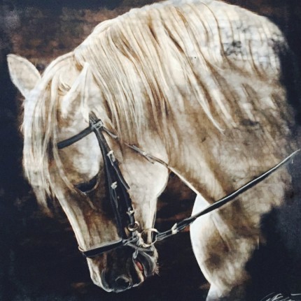 “Herodes Strength” Equus Series, Digital print on fabric with chalk overlay, 48 x 48 inches, Signed