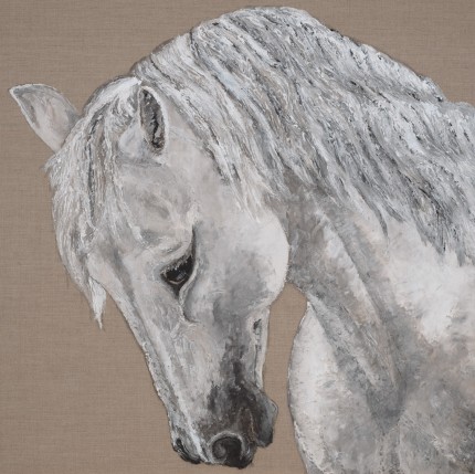 “Herodes do Alentejo” Equus Series, Limited edition print on canvas, 54 x 54 inches, Signed