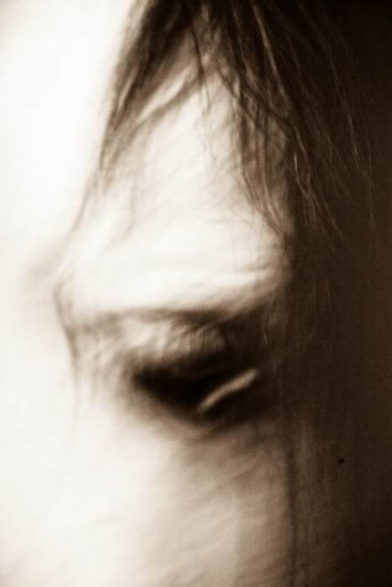 “Windows to the Soul III” 48 x 32 inches, Digital Print on Paper with Aluminum Backing | Custom Sizes Available Upon Request