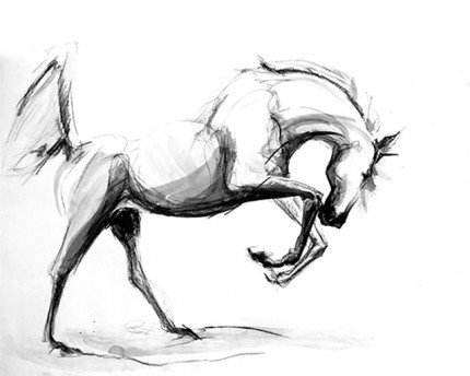 “Free Spirit” Sumi ink & Charcoal, 16 x 20 inches, Signed