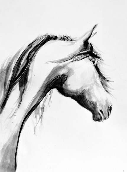 “Grace” Sumi ink & Charcoal, 20 x 16 inches, Signed