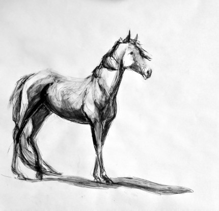 “Thoroughbred” Sumi ink & Charcoal, 16 x 20 inches, Signed