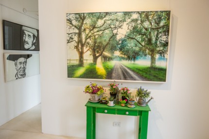 Céline Frers photography in situ