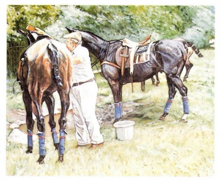 “Polo III” Limited edition print