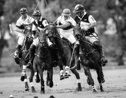 “Polo Limited Edition 012” Fine art glossy photo paper, Edition of 10, 15.66 x 20 inches, Paper: 19.66 x 24 inches