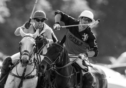 “Polo Limited Edition 013” Fine art glossy photo paper, Edition of 10, 14 x 20 inches, Paper: 18 x 24 inches