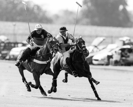 “Polo Limited Edition 014” Fine art glossy photo paper, Edition of 10, 16.13 x 20 inches, Paper: 20.13 x 24 inches