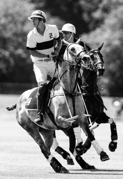 “Polo Limited Edition 015” Fine art glossy photo paper, Edition of 10, 20 x 13.75 inches, Paper: 24 x 17.75 inches