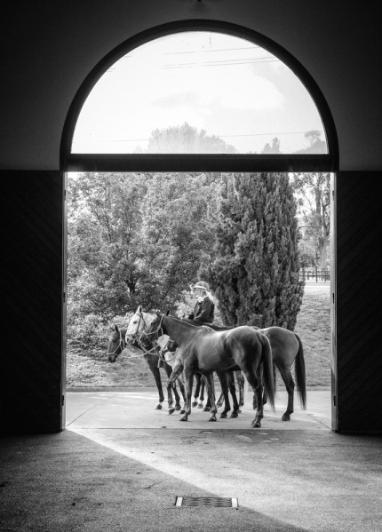 “Polo Limited Edition 019” Fine art glossy photo paper, Edition of 10, 20 x 14.35 inches, Paper: 24 x 18.35 inches