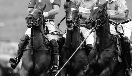 “Polo Limited Edition 022” Fine art glossy photo paper, Edition of 10, 11.57 x 20 inches, Paper: 15.57 x 24 inches