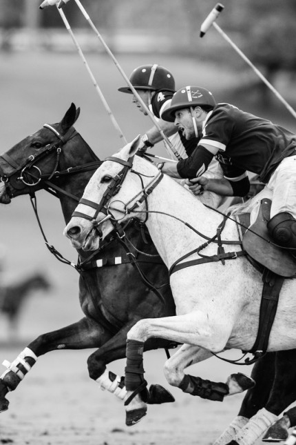 “Polo Limited Edition 025” Fine art glossy photo paper, Edition of 10, 20 x 13.33 inches, Paper: 24 x 17.33 inches