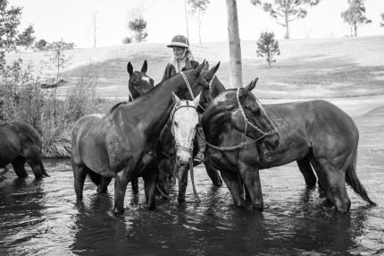 “Polo Limited Edition 026” Fine art glossy photo paper, Edition of 10, 13.33 x 20 inches, Paper: 17.33 x 24 inches