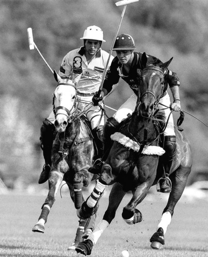 “Polo Limited Edition 028” Fine art glossy photo paper, Edition of 10, 20 x 16.21 inches, Paper: 24 x 20.21 inches