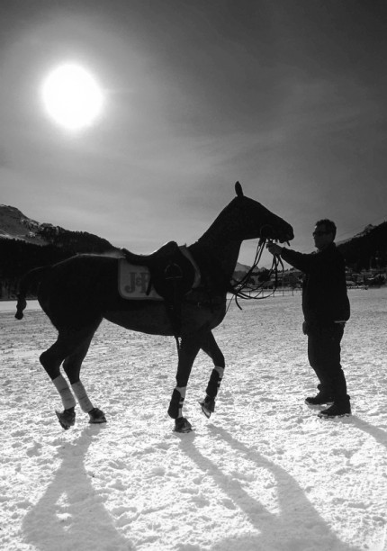“Polo Limited Edition 029” Fine art glossy photo paper, Edition of 10, 20 x 14.06 inches, Paper: 24 x 18.06 inches