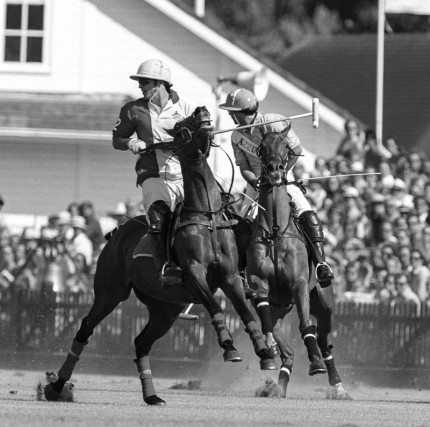 “Polo Limited Edition 030” Fine art glossy photo paper, Edition of 10, 20 x 19.88 inches, Paper: 24 x 23.88 inches