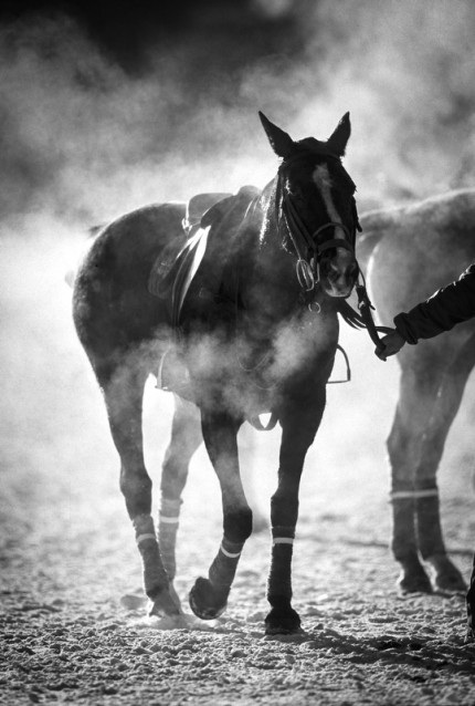 “Polo Limited Edition 031” Fine art glossy photo paper, Edition of 10, 20 x 13.47 inches, Paper: 24 x 17.47 inches
