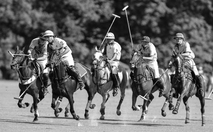 “Polo Limited Edition 032” Fine art glossy photo paper, Edition of 10, 13.47 x 20 inches, Paper: 17.47 x 24 inches