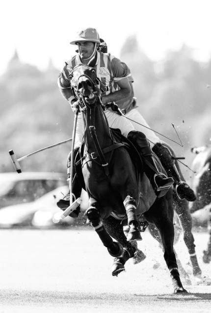 “Polo Limited Edition 034” Fine art glossy photo paper, Edition of 10, 20 x 13.48 inches, Paper: 24 x 17.48 inches