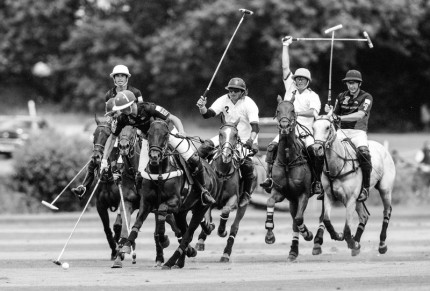 “Polo Limited Edition 037” Fine art glossy photo paper, Edition of 10, 13.58 x 20 inches, Paper: 17.58 x 24 inches