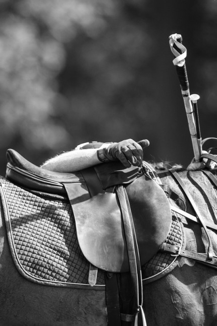 “Polo Limited Edition 038” Fine art glossy photo paper, Edition of 10, 20 x 13.33 inches, Paper: 24 x 17.33 inches