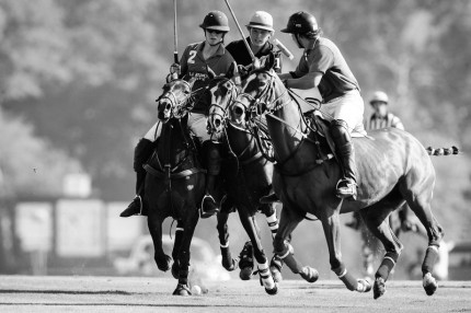 “Polo Limited Edition 042” Fine art glossy photo paper, Edition of 10, 13.33 x 20 inches, Paper: 17.33 x 24 inches