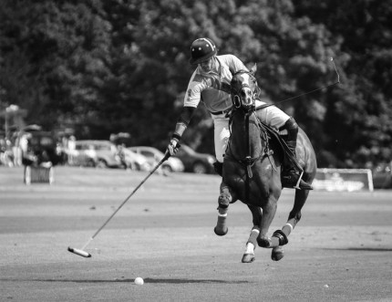 “Polo Limited Edition 043” Fine art glossy photo paper, Edition of 10, 15.41 x 20 inches, Paper: 19.41 x 24 inches
