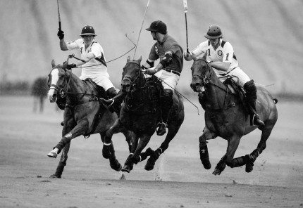 “Polo Limited Edition 044” Fine art glossy photo paper, Edition of 10, 13.79 x 20 inches, Paper: 17.79 x 24 inches