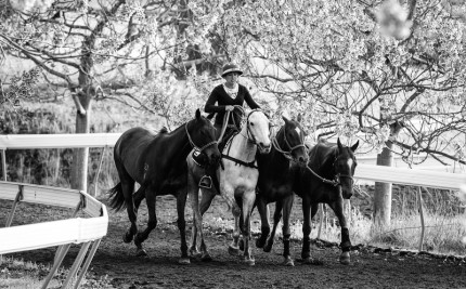 “Polo Limited Edition 046” Fine art glossy photo paper, Edition of 10, 12.44 x 20 inches, Paper: 16.44 x 24 inches
