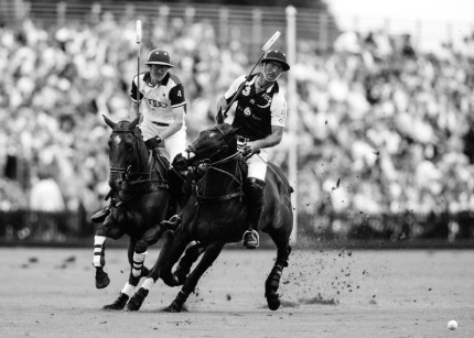 “Polo Limited Edition 050” Fine art glossy photo paper, Edition of 10, 14.32 x 20 inches, Paper: 18.32 x 24 inches