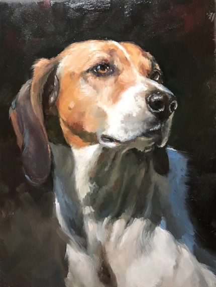 “Portrait of a Radnor Hound” Oil on board, 12 x 9 inches, Signed
